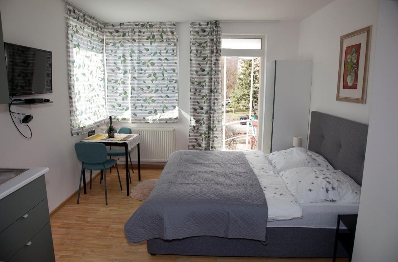 Apartman U Doktora Банська Бистриця Екстер'єр фото